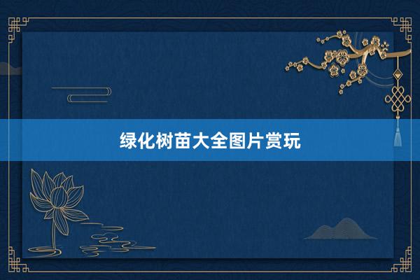 绿化树苗大全图片赏玩